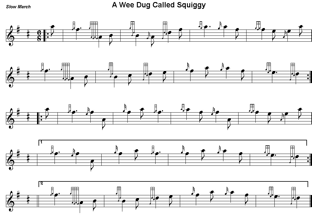 A Wee Dug Called Squiggy.jpg